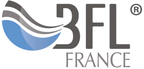 BPI France